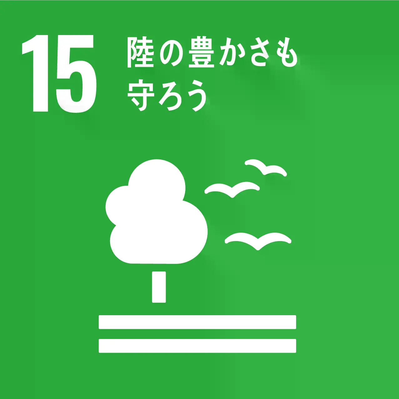 SDGs 15 ���̖L��������낤